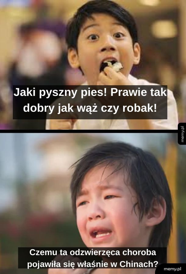To kara za jedzenie psów