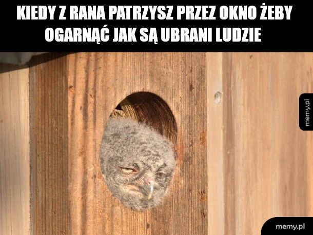 Ta chęć do życia