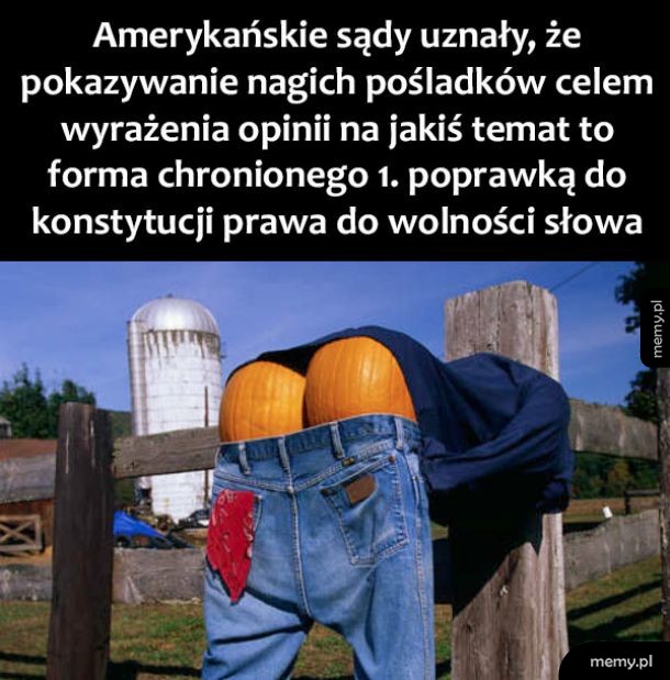Wolność słowa