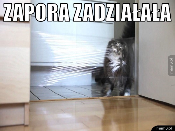 Zapora zadziałała 