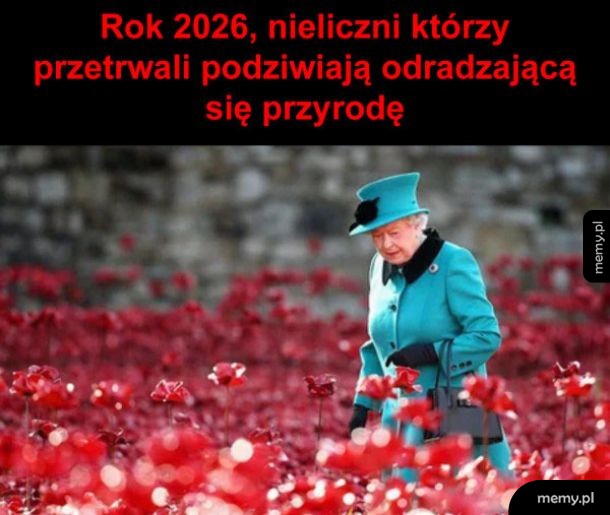 Tak będzie