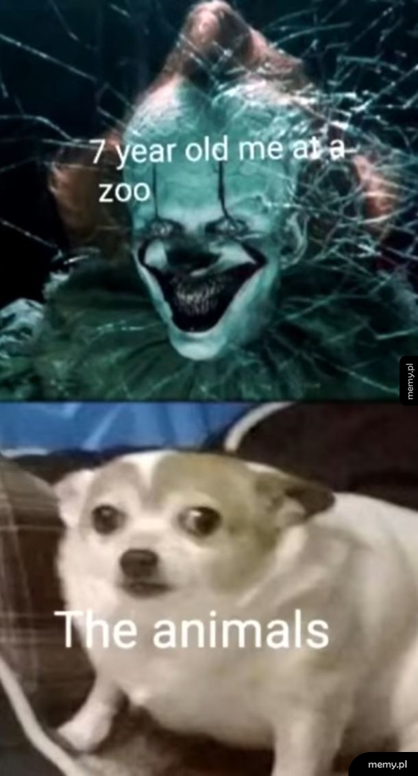 Zoo