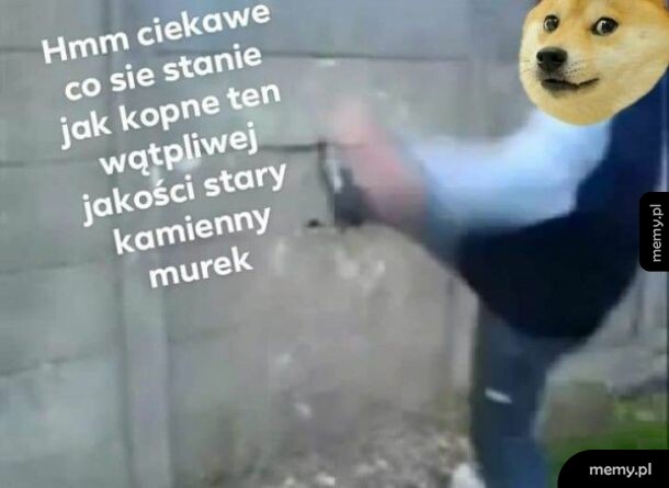 Ciekawe