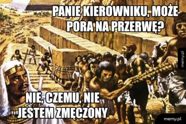 Tymczasem w Januszowie