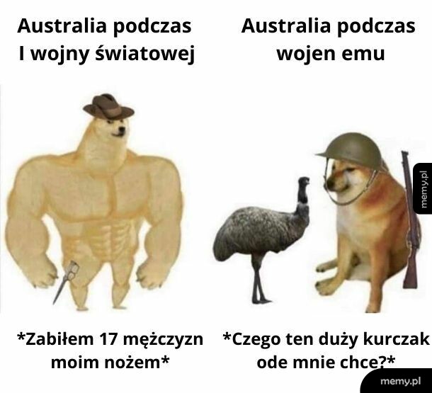 Tak było