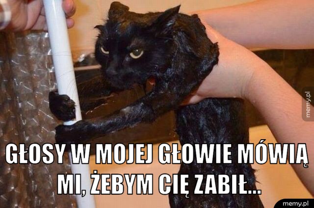 Głosy w mojej głowie
