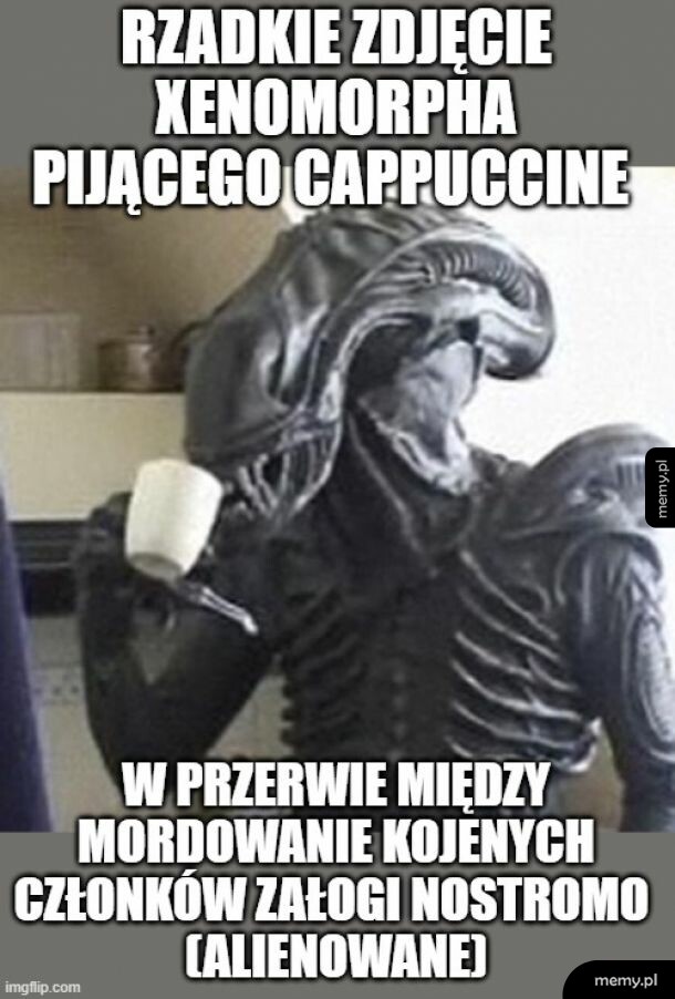 Alienizacja
