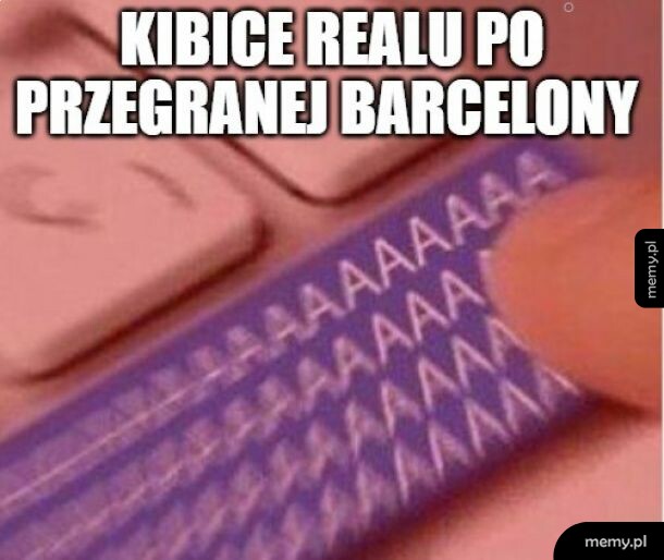 Kibice
