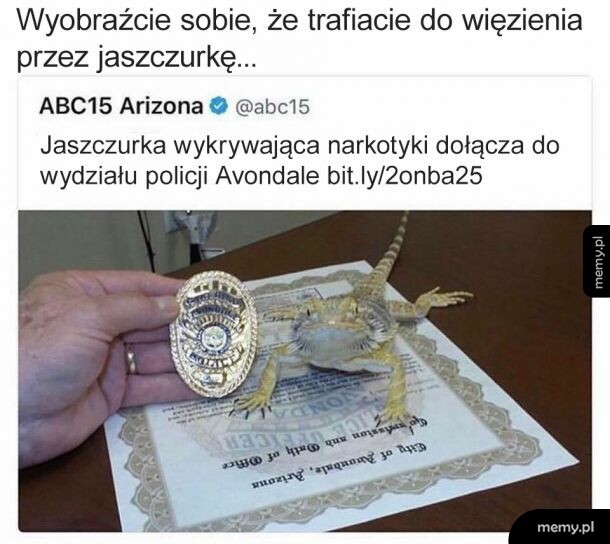 Policyjna jaszczurka