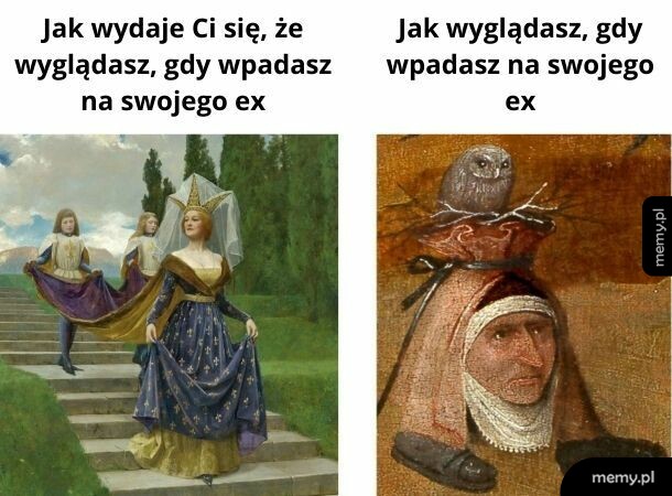Wiecie, jak trudno dostać dobrą sowę?