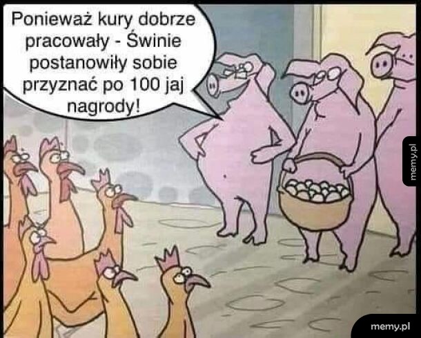 Każdy polityk na świecie