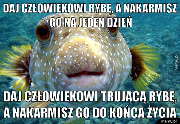 Ryba