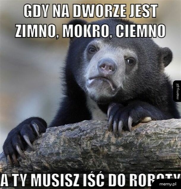 Prawdziwość