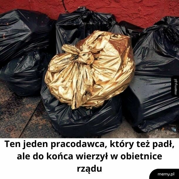 Wierzący