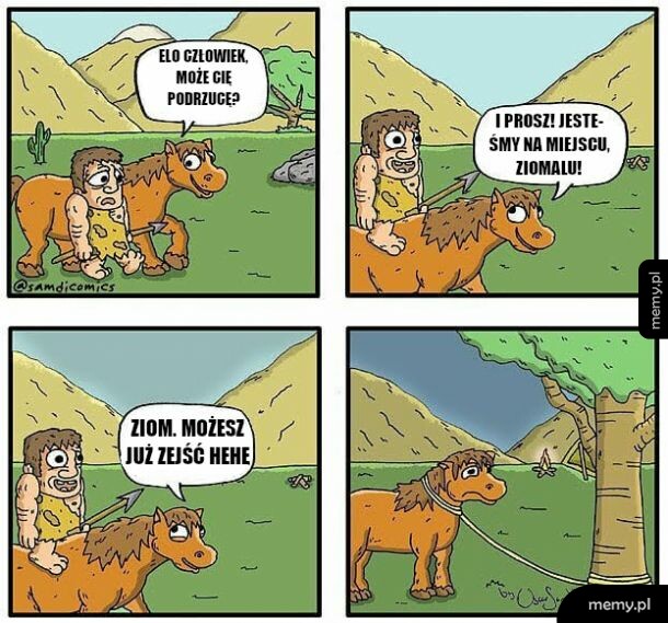 Koń, przyjaciel człowieka