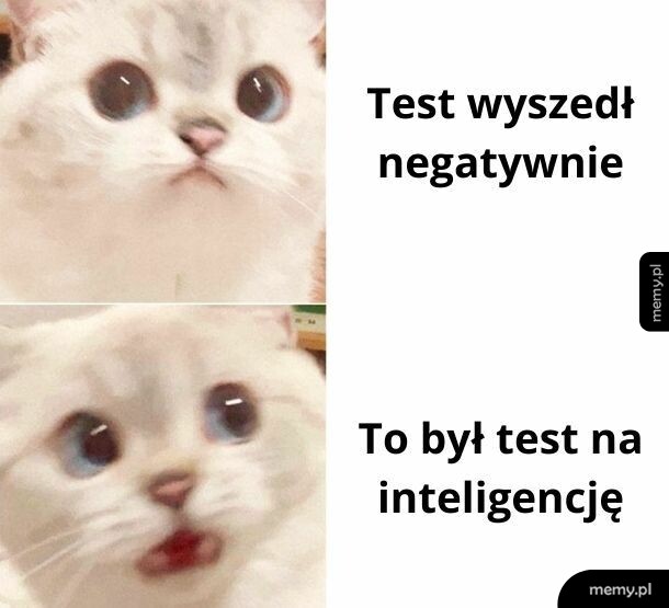 Znów nie zdałem :(