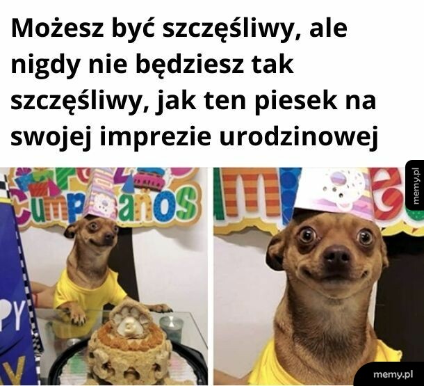 Widać, że imprezka udana