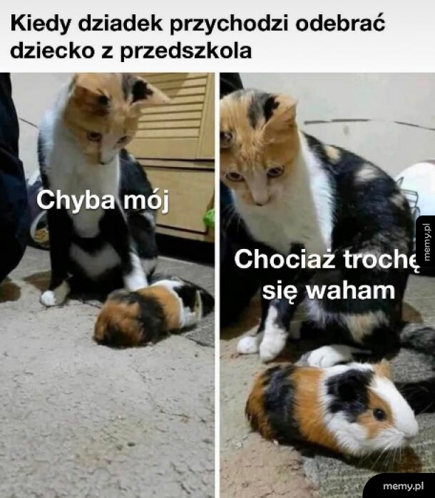 Wystąpił błąd w Matrixie