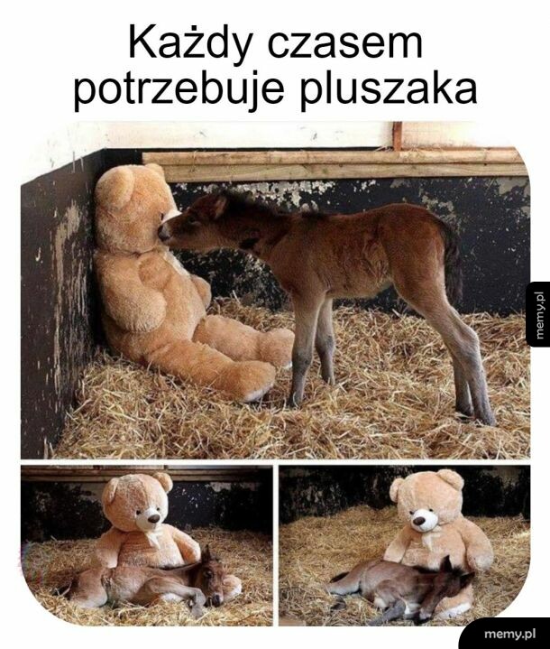 Dobrze jest się przytulić