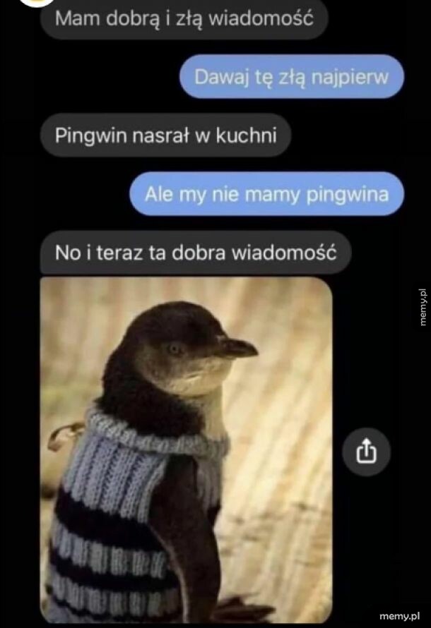 Wiadomość