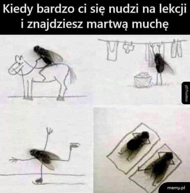 Bardzo kreatywnie