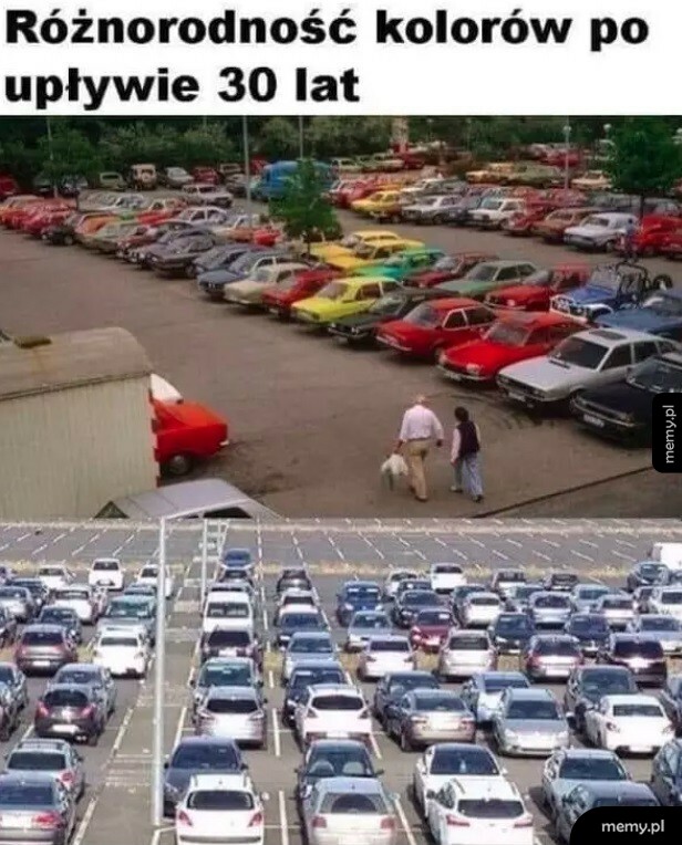 Różnorodność kolorów