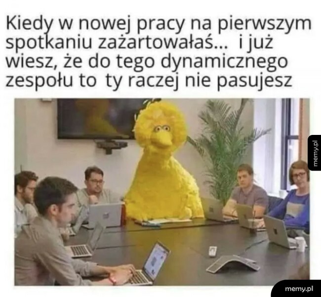 Dynamiczny zespół