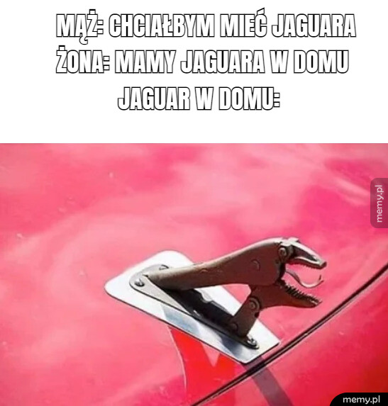 Jaguar
