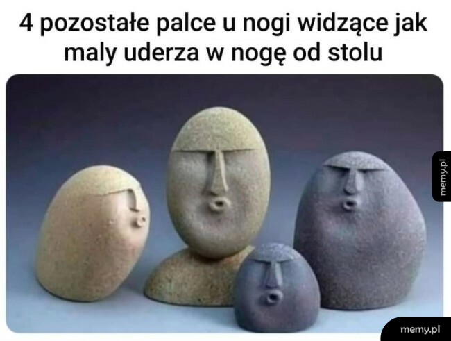 Palce u nogi