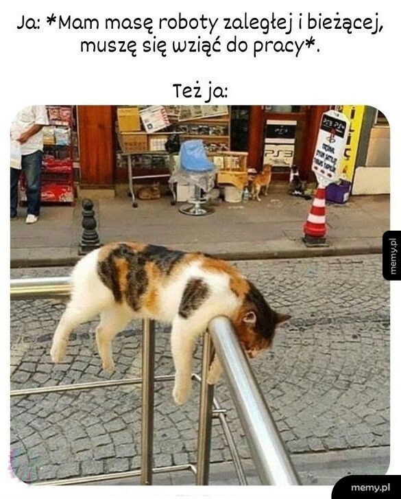 Ale jestem tak zmęczony