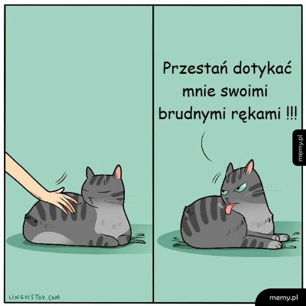 Za każdym razem..