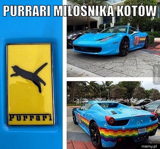 Purrari miłośnika kotów.