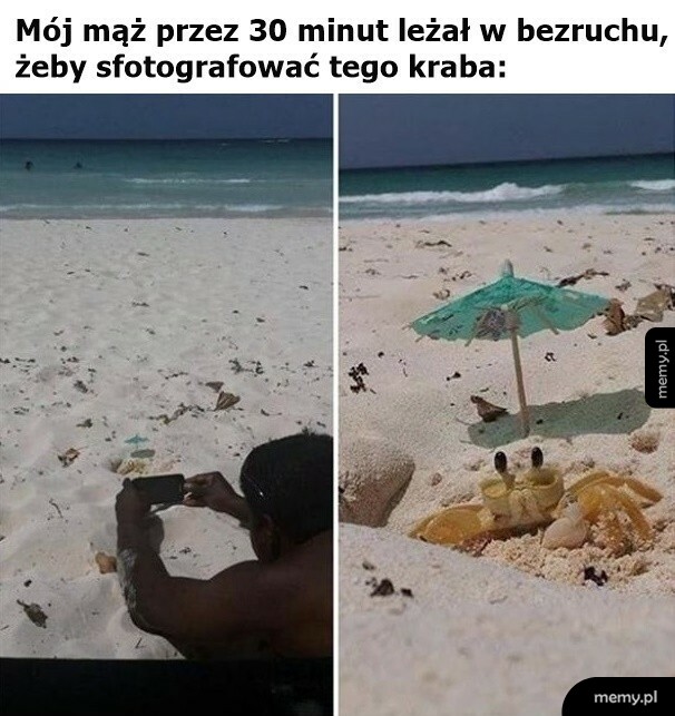 Opłacało się