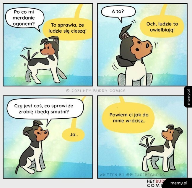 Psie pytania