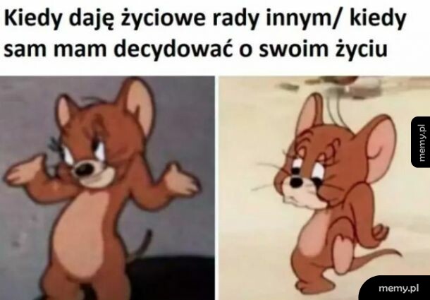 Moje rady