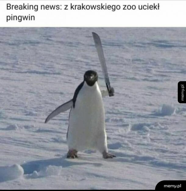 Tymczasem w Krakowie