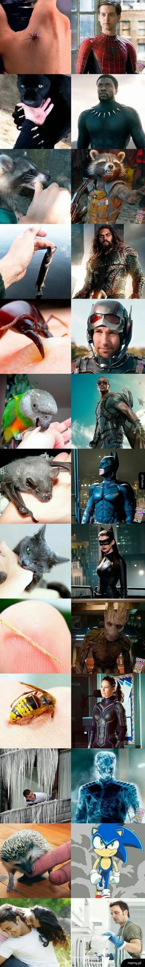 Transformacja