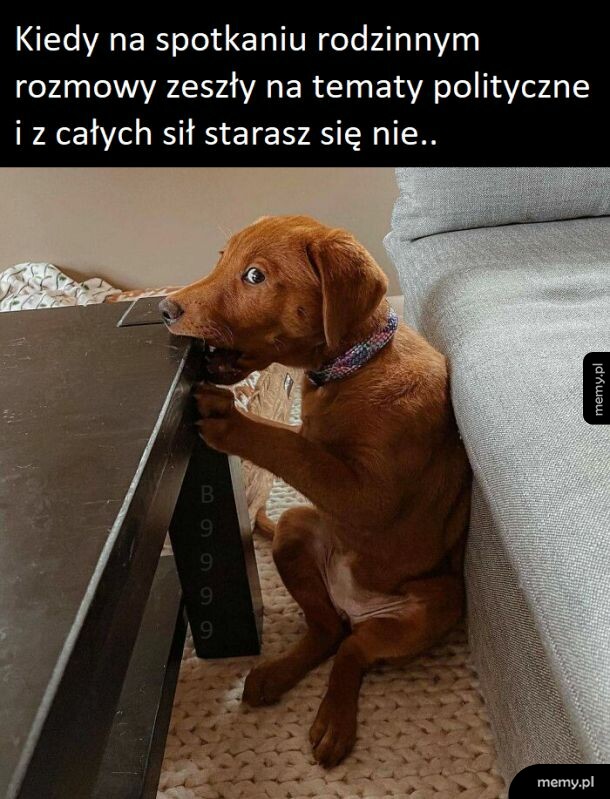 Nie! Po prostu nie warto.