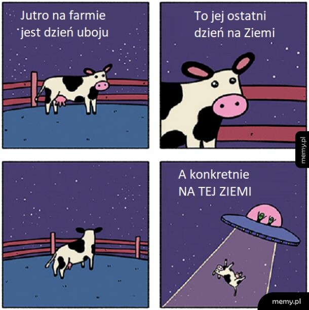Smutna krowa