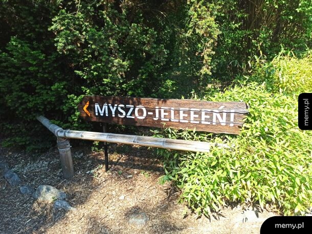 Tymczasem we wrocławskim zoo