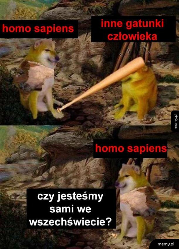 Chyba nie