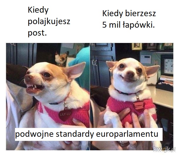 po2jne standardy europarlamentu