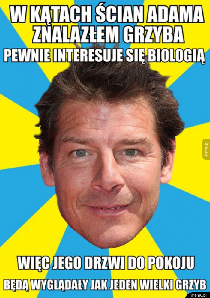 Grzyb