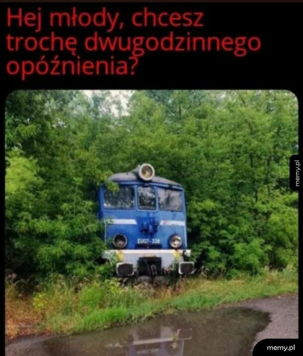PKP zza krzaka