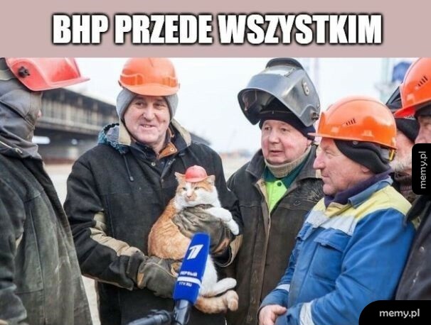 Grupa budowlańców z kotem w kasku ochronnym