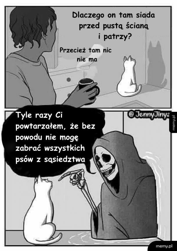 Kot siedzi przed pustą ścianą i rozmawia ze Śmiercią widoczną tylko dla niego.
