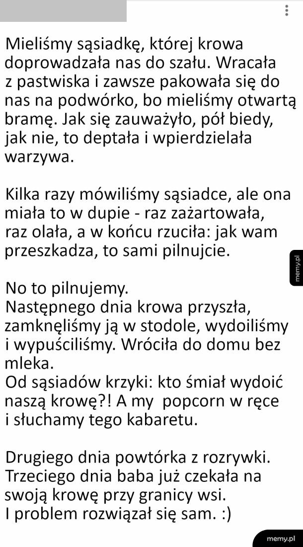 Tekstowy mem o sąsiadce, której krowa wchodziła na podwórko.