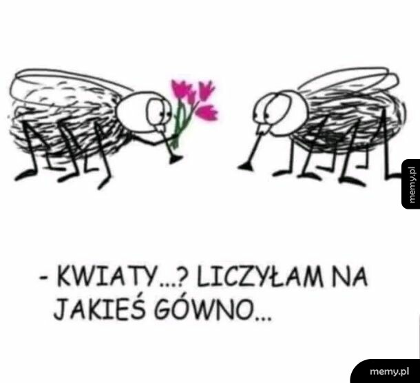 Rysunek przedstawiający dwie muchy, z których jedna wręcza drugiej kwiaty.