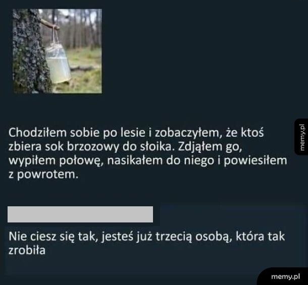 Słoik z sokiem brzozowym wiszący na drzewie w lesie i wpis z internetu