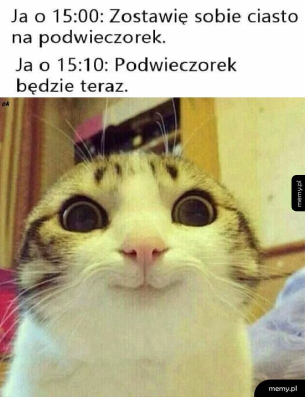 Mem z kotem o szerokich oczach i napisem o jedzeniu ciasta